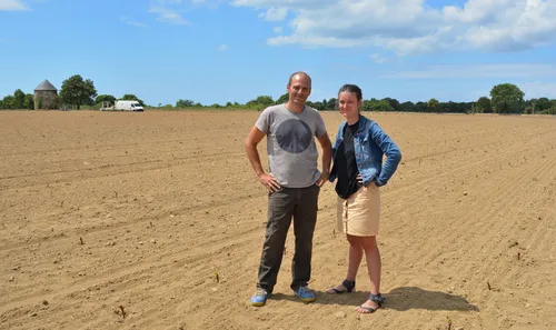 Le vignoble de Rhuys  : 27 000 pieds de vigne plantés