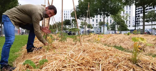 A Nantes, des légumes poussent un peu partout dans la ville