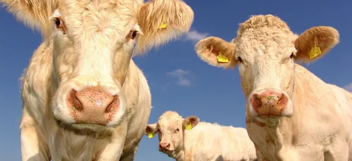 La méthanisation dans le collimateur d'Eau & Rivières de Bretagne