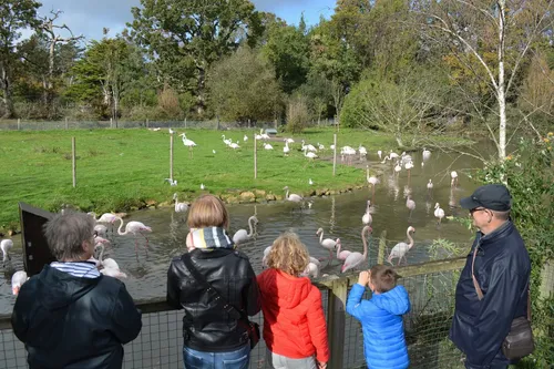 L'affluence des vacances de la Toussaint au Parc de Branféré