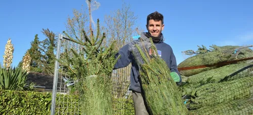 Un marché de Noël avec des anciens candidats de l'Amour est dans le...