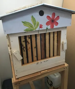 Parrainer votre ruche pour Noël !