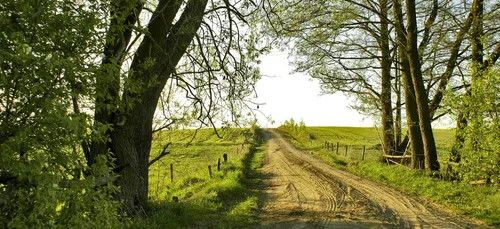 On vit moins vieux à la campagne qu’en ville