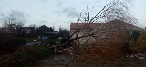 Une mini tornade au Sud de Nantes