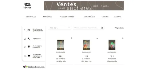 Vannes vend ses illuminations aux enchères