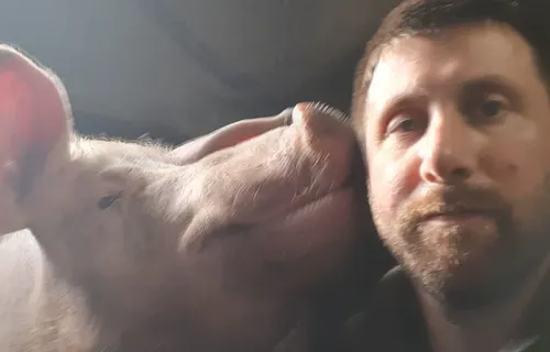 Louna la truie à son compte facebook