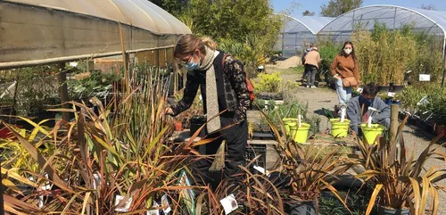 Le boom des jardineries et pépinières !