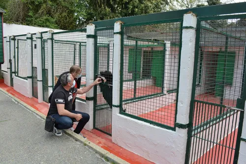 Confinements : les SPA se vident !