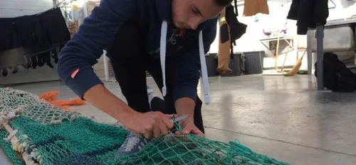 Olympiades des M&eacute;tiers : le savoir-faire du lyc&eacute;e...
