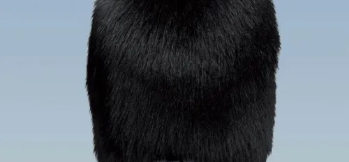 Clap de fin pour le festival du film britannique de Dinard