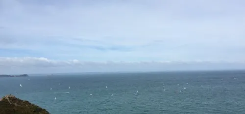 Biodiversit&eacute; : L'Etat reconna&icirc;t l'action dans la Baie...