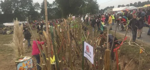 Des milliers de b&acirc;tons sur la ZAD : reportage