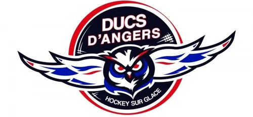 LM : les Ducs d'Angers &agrave; Strasbourg ce soir