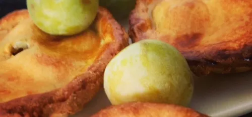 La cueillette des pommes dans les vergers lig&eacute;riens