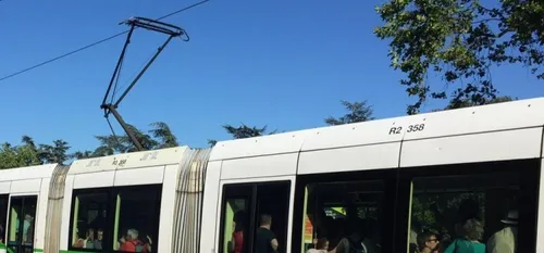 La TAN lance une campagne contre la fraude...