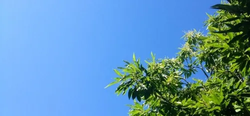 Du soleil mais des temp&eacute;ratures plus fra&icirc;ches en PDL