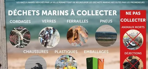 Trois bacs &agrave; mar&eacute;e plage de la Paracou aux...