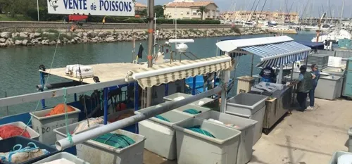 L'aide de l'Etat destin&eacute;e aux mytiliculteurs attendue en PDL