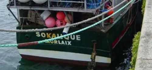 Sokalique : fin des poursuites contre l'armateur 