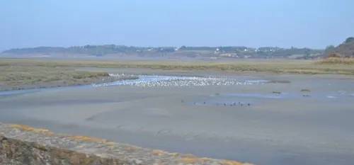 Mort d'un joggeur dans les C&ocirc;tes d'Armor : le corps...