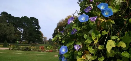 M&eacute;t&eacute;o : un jeudi automnal sur la Bretagne 