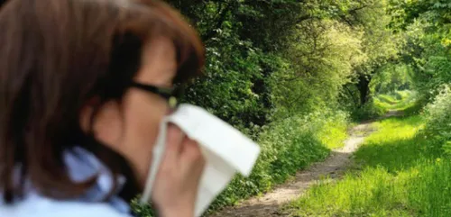 Pollens : alerte rouge sur toute la France !