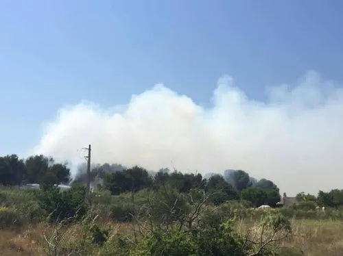 Istres : un incendie ravage 4 hectares