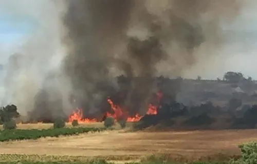 Saint-Cannat : l'incendie ne progresse plus mais 750ha ont brûlé