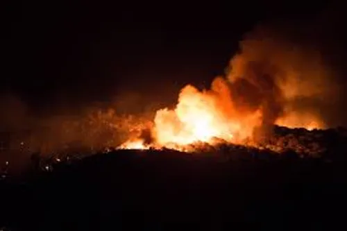 Var et Alpes-Martimes : une terrible nuit d'incendies