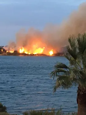 Fos : un important départ de feu vite maîtrisé
