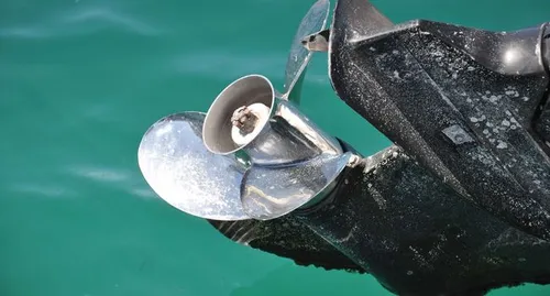 Saint-Tropez : un homme meurt déchiqueté par l’hélice d'un bateau...