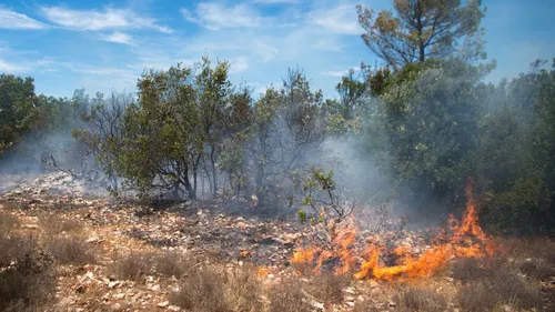 Var : risque d'incendies sévère mercredi et jeudi