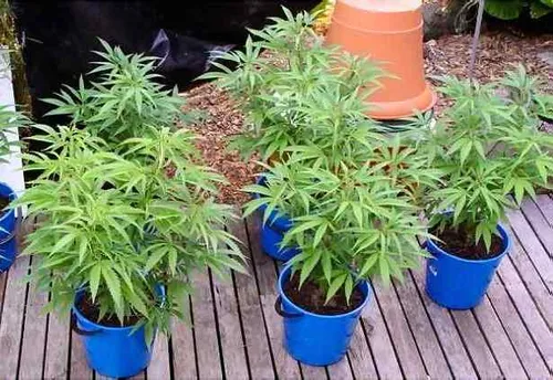 Var : il revient dans sa résidence secondaire et y trouve une...