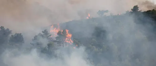 Incendie d'Aubagne : un ado de 14 ans interpellé