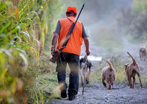 Var : deux blessés graves dans un accident de chasse