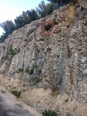 Sausset : les pompiers volent au secours d'une chèvre !