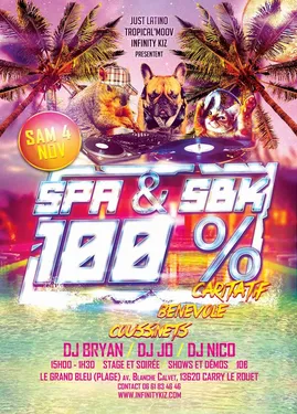 Carry : de la danse pour aider les animaux des refuges