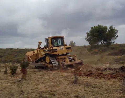 Ensuès : 2000 arbres ont été replantés après l'incendie de 2016