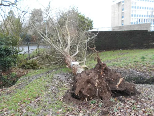 Vent violent : les pompiers sur le front toute la journée