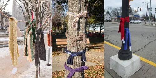 Brignoles : des écharpes autour des arbres pour les sans-abri