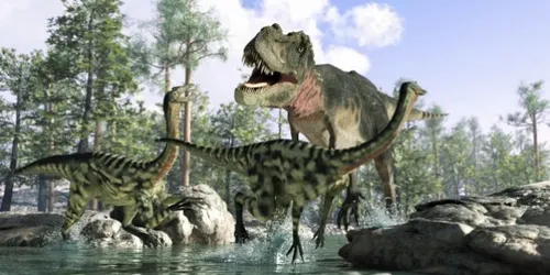 Découverte d'une tique pleine de sang de dinosaure