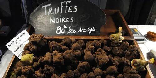 Marseille : le marché de la truffe s'installe à Mazargues ce samedi