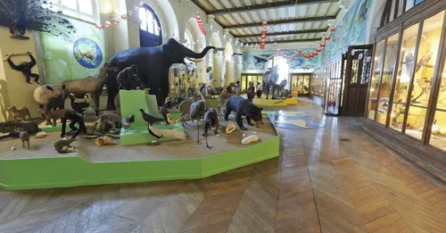 Marseille : le Muséum d'histoire naturelle sera gratuit toutes les...