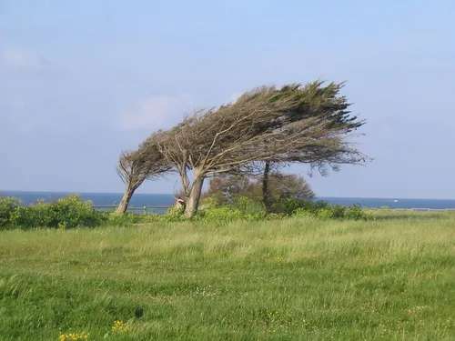 Le Var en vigilance jaune "vents violents"