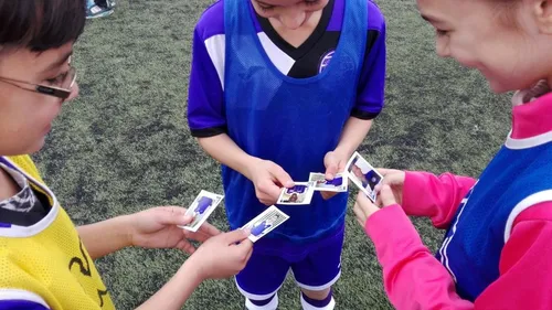 Toulon : un album panini comme les pros pour les amateurs