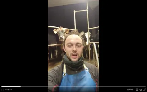 Avec le "Milk Pint Challenge", il promet 3 000 litres de lait aux...