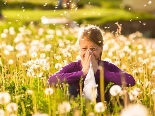 Allergies ?: des pollens plus nombreux et plus précoces