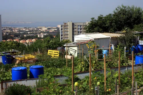 Marseille : l'agriculture à la fête ce week-end !
