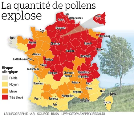 Alerte aux pollens sur toute la France !