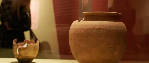 Du vin au cannabis pour faire la fête chez les Gaulois ?